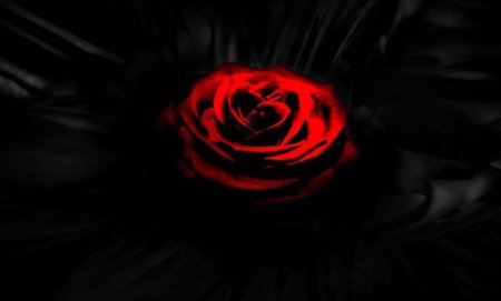 Розы на темном фоне