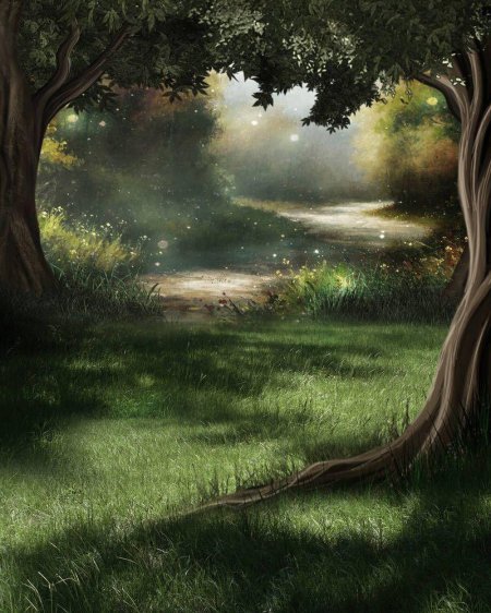 Волшебный лес