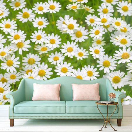 Фотообои ромашки
