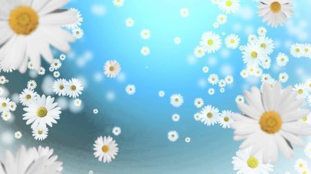Фон для презентации с ромашками