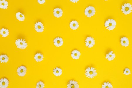 Ромашки на желтом фоне
