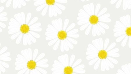 Ромашковый фон