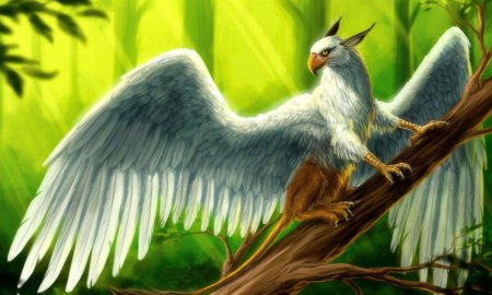 Белый Грифон птица