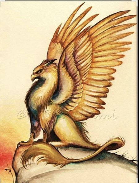 Грифон сипуха