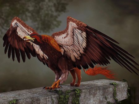 Опиникус Грифон