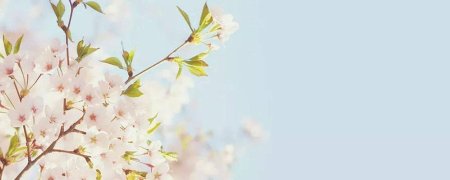 Весенние фоны