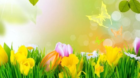 Весенние фоны