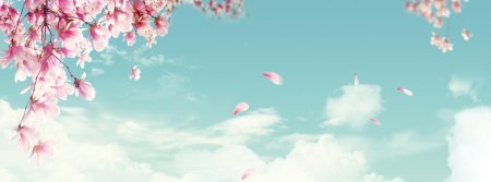 Фоны весенние