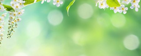 Весенние фоны