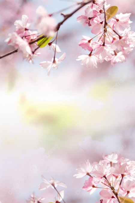 Весенний персиковый фон