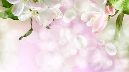 Весенний фон вертикальный