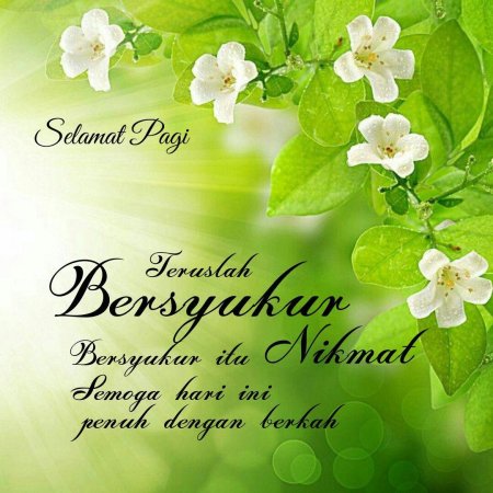 Фон для презентации с цветами