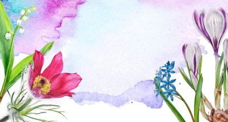 Фон для презентации первоцветы