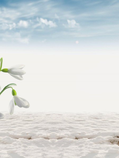 Фон для презентации ранняя весна