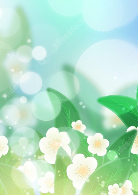 Цветочные фоны