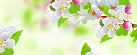 Весенний фон для баннера