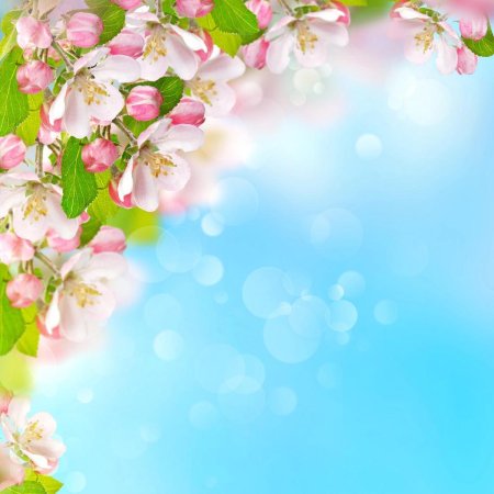 Весенний фон для текста