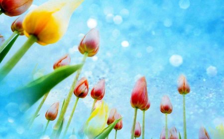 Цветочный фон