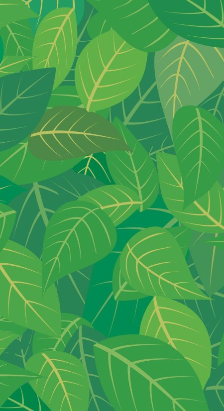 Зеленые листья фон