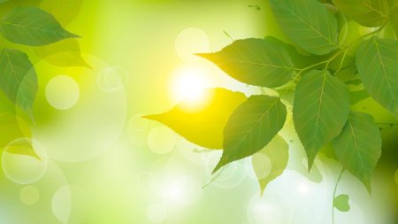 Фон зеленые листья