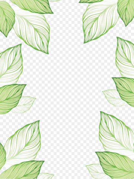 Красивые листочки