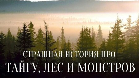 Темнохвойная Пихтовая Тайга Сибирь