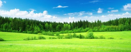 Земельного участка