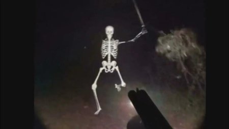 Скелет человеческий