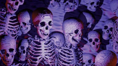 Череп скелет