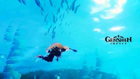 Genshin impact