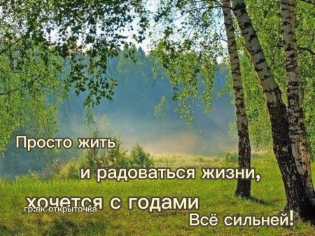 Природа березки