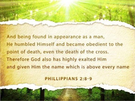 Фон для презентации