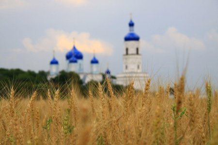 Храм в поле