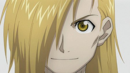 Стальной алхимик братство Альфонс человек