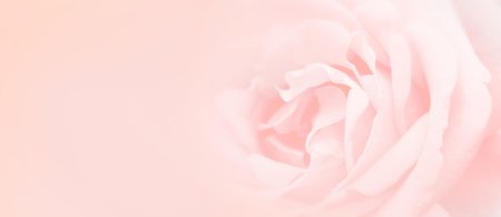 Фон для презентации нежно розовый