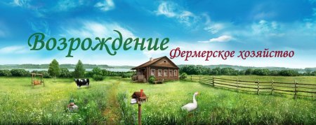 Деревня хозяйство подворье