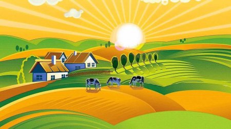 Поле рисунок