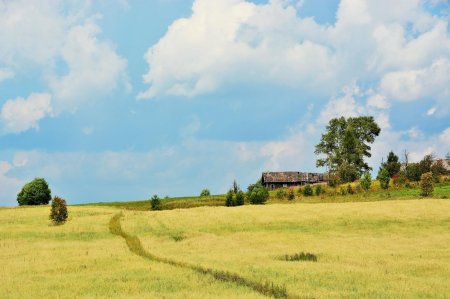 Поле деревня