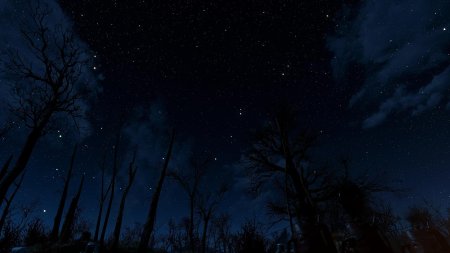 Звездное небо ночь