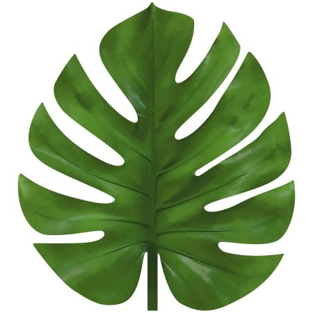 Лист монстеры