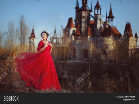 Фон замок принцессы