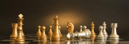 Шахматы баннер