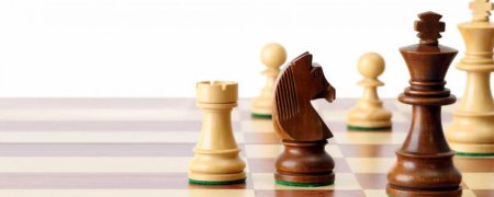 Шахматы баннер