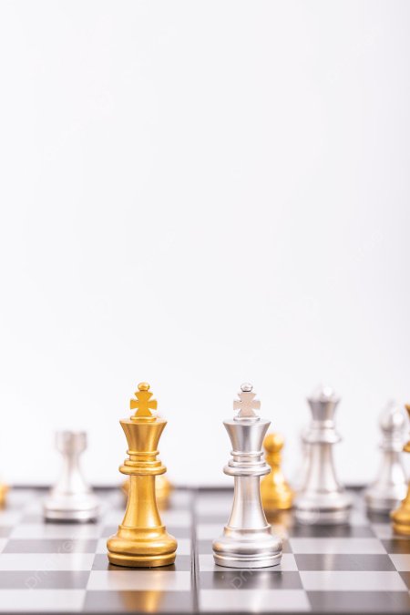 Шахматы король