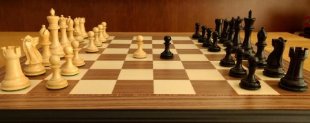 Шахматы задний фон