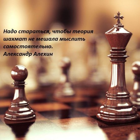 Шахматы красивые