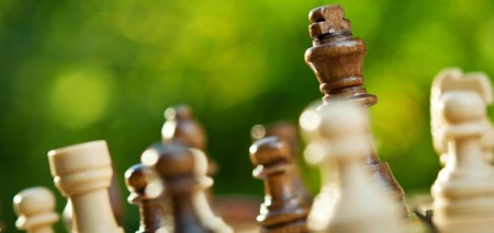 Шахматные турниры