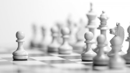 Шахматы фон для презентации