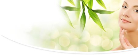 Лист бамбука