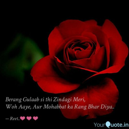 Красная роза на черном фоне